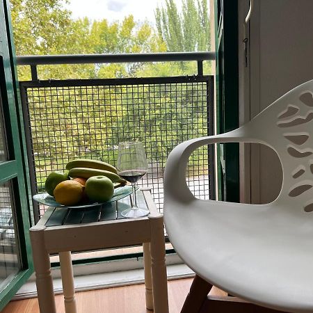 Un Rincon Con Vistas Al Parque Wifi Junto A Catedral By Apartamentos Logrono Exterior photo
